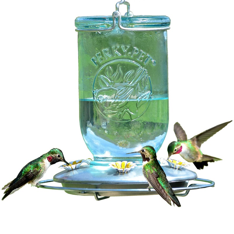 Perky-Pet Mason Jar Vintage Style Glass Hummingbird Feeder 785-1SR - Humming Bird Feeders for Outdoor Garden Decor - 32 Oz Nectar Capacity - Image 1